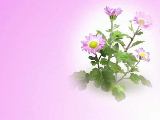303232 (a): :1024x768